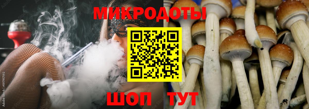 Галлюциногенные грибы мицелий Ростов-на-Дону